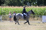 WJ6_8910