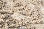 250613A-080858-00901