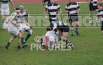 Rugby_Guernsey v Sutton  Epsom-23