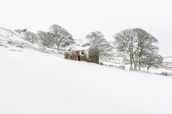 Roach End Barn
