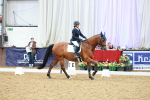 SBM_003398