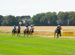 240726-Race 1-Martinet-00942