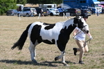 WJ6_8588