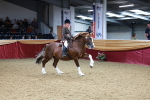SBM_18918