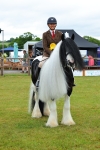 Class 1-4 - BSPA Ridden portfolio