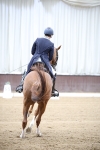 SBM_007582