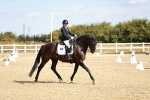 SBM_008774