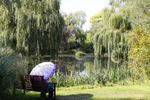 Water Gardens, Goodestone , Norfolk