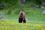Where to Start_0069