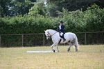 WJ6_3335