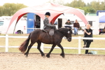SBM_16389