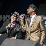 The Selecter-79