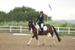 SBM_000861