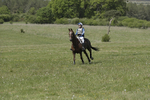 BVHT 140517  IXC -650