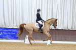SBM_001678