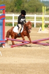 SBM_006246