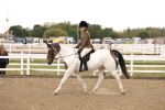 SBM_02884