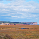 Tidal Salt Marsh St. Martins New Brunswick