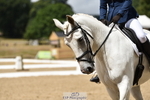 139-Clare.Brown-Tommie.Too portfolio