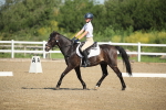 SBM_007367