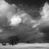 Beyond the storm