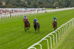 230823-Race 4-Mostahdaf-4277