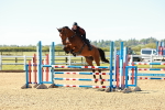 SBM_000560