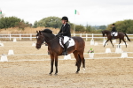 SBM_003634