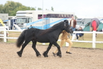 SBM_08430
