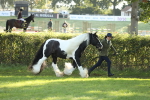 SBM_60848