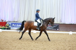 SBM_003447