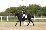 SBM_000185