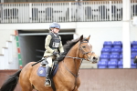 SBM_001965
