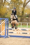 Unaffiliated Show Jumping portfolio