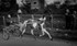 Appleby 008