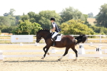 SBM_002939