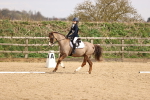 SBM_001544