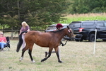WJ6_6179