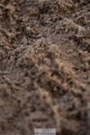 231028A-101744-00366