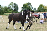 WJ6_6233