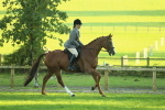 SBM_56392