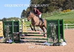 BPP_2035