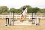 SBM_023113