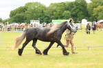 SBM_03567