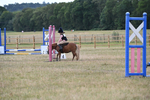 Show Jumping portfolio