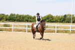 SBM_000995
