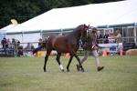 SBM_09840