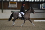 Dressage portfolio