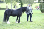 SBM_26252