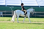 SBM_19908